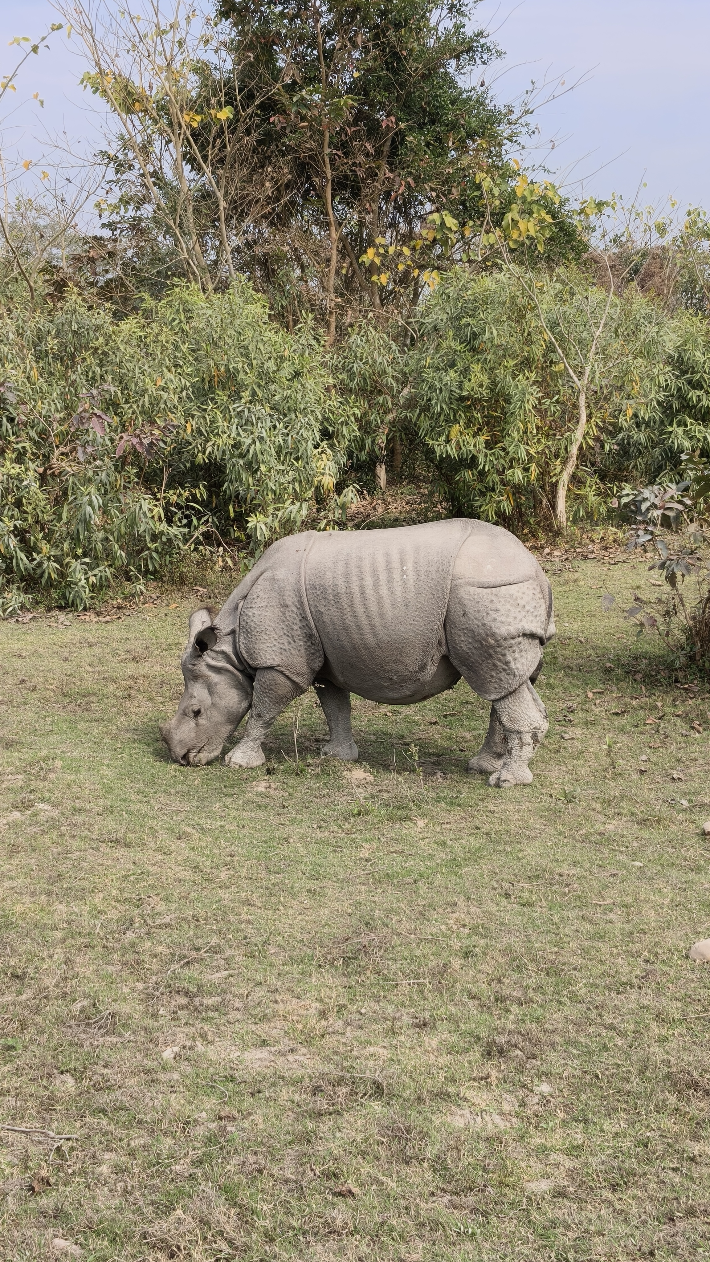 6N7D Offbeat Meghalaya with Kaziranga Safari